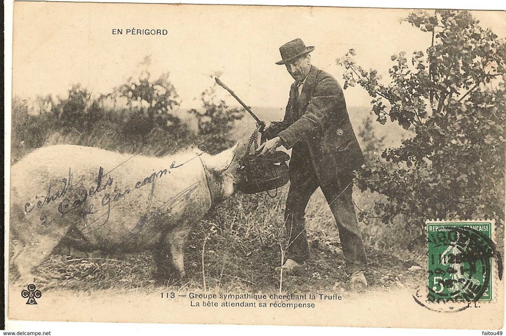 24 -  En Périgord, Groupe Sympathique Cherchant La Truffe 156 - Périgueux