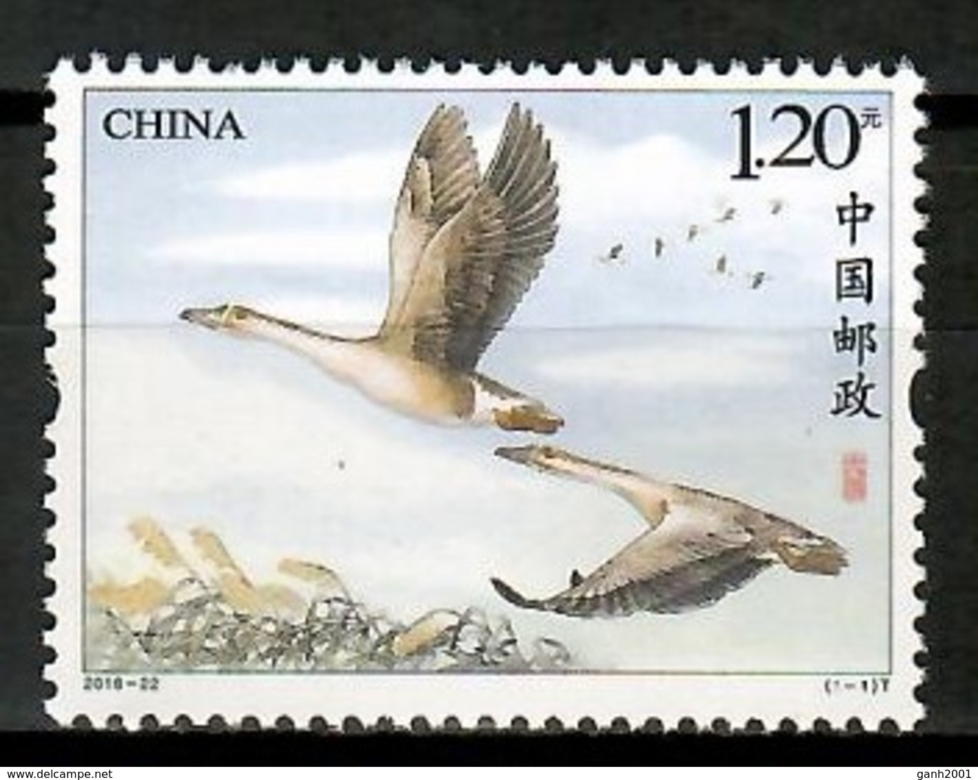 China 2018 / Birds MNH Vögel Aves Oiseaux / Cu13118  41 - Otros & Sin Clasificación