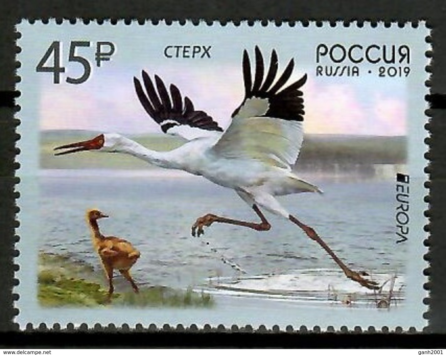 Russia 2019 Rusia / Birds Europa CEPT MNH Vögel Aves Oiseaux / Cu13119  41-5 - Otros & Sin Clasificación