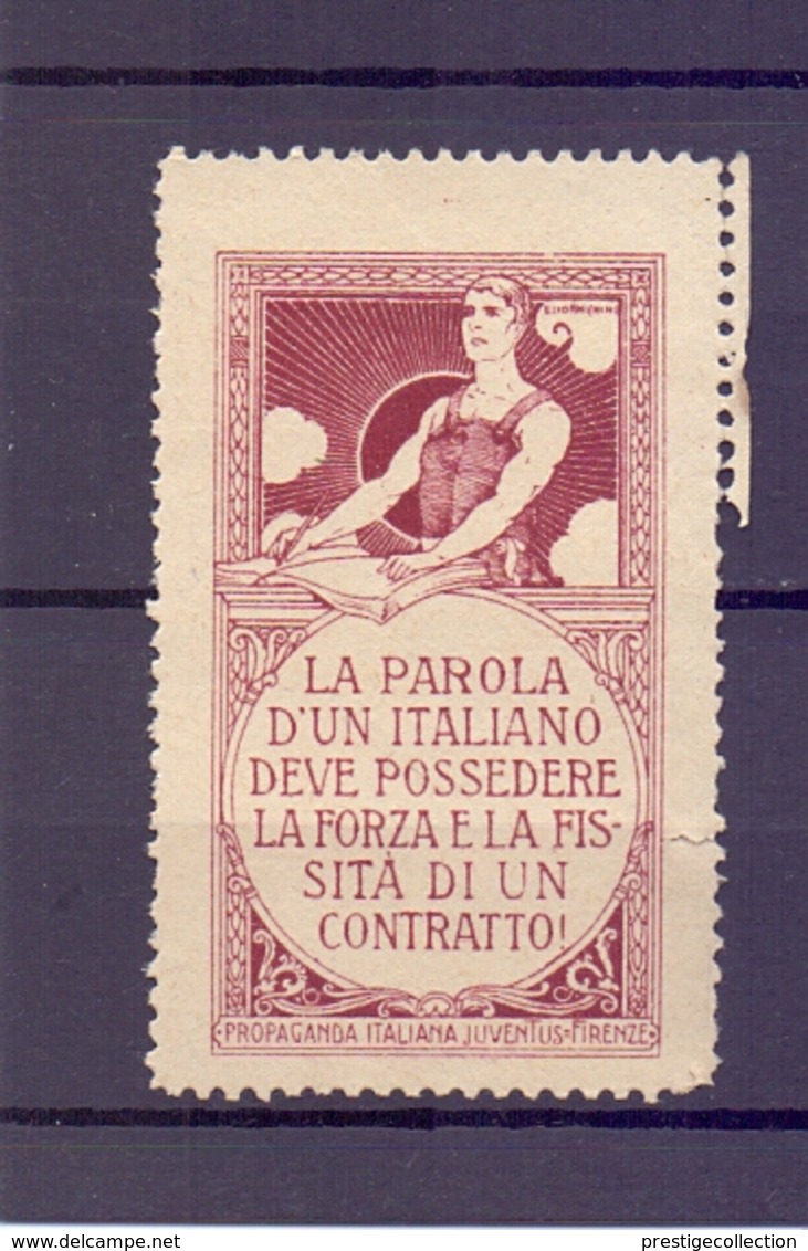 CINDERELLA ERINNOFILIA PROPAGANDA ITALIANA JUVENTUS  FIORENZE    (GIUGN1900B56) - Erinnofilia