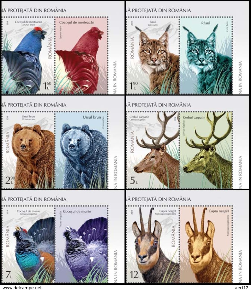 ROMANIA, 2019, PROTECTED FAUNA, Birds, Lynx, Bears, Deer, Goats, Cats Of Prey, Set Of 4 + Label, MNH (**); LPMP 2237 - Nuovi