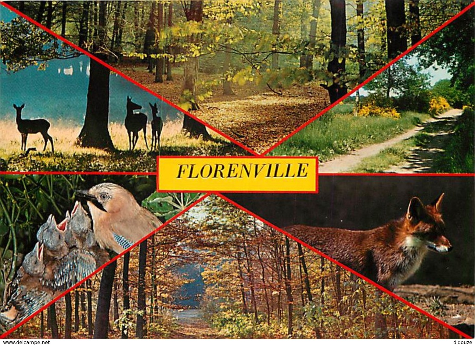 Belgique - Florenville - Multivues - Nid D'Oiseaux - Renard - Carte Neuve - Voir Scans Recto-Verso - Florenville