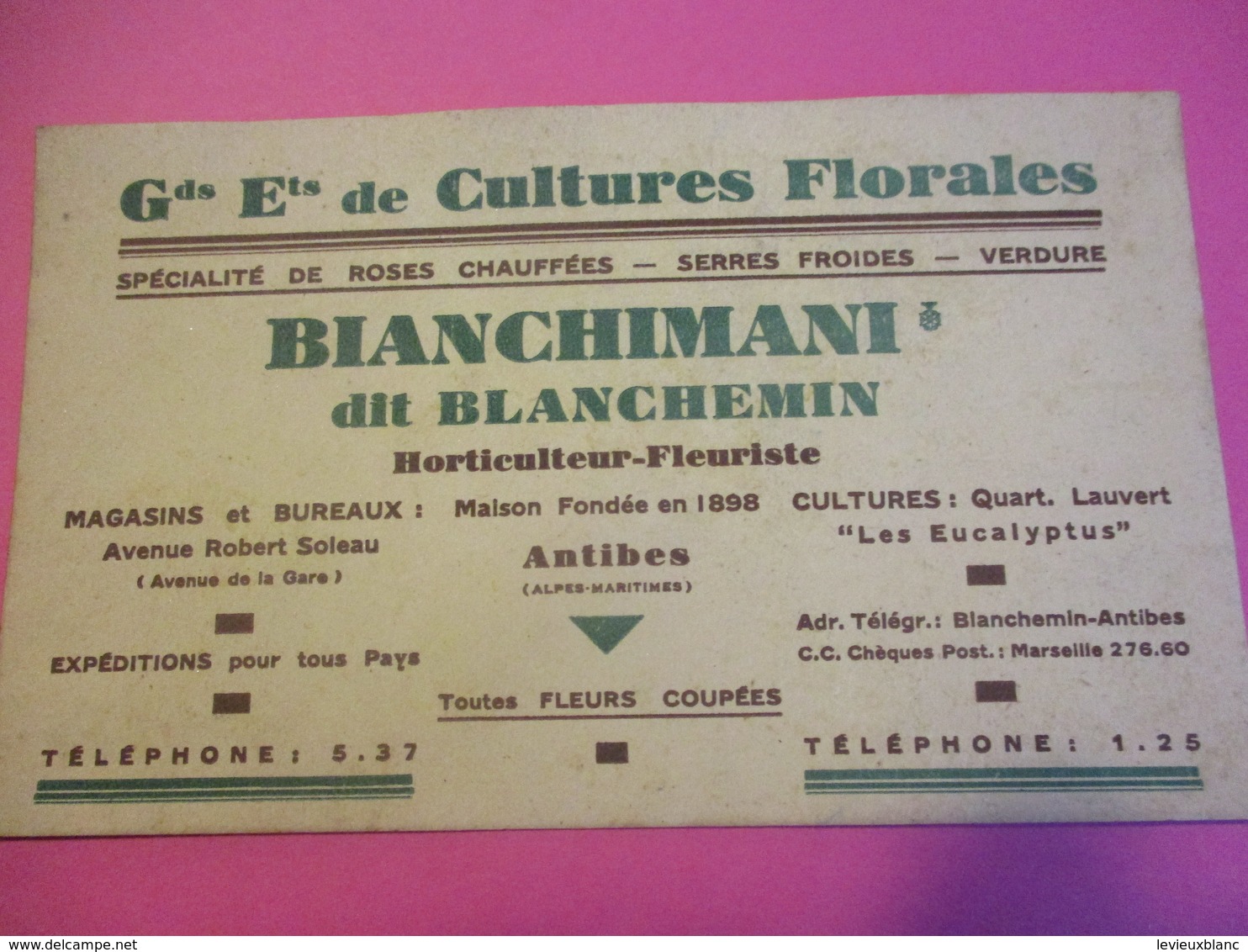 Carte Commerciale/Gds Ets De Cultures Florales/BLANCHIMANI Dit Blanchemin/ANTIBES/ Vers 1930          CAC139 - Autres & Non Classés