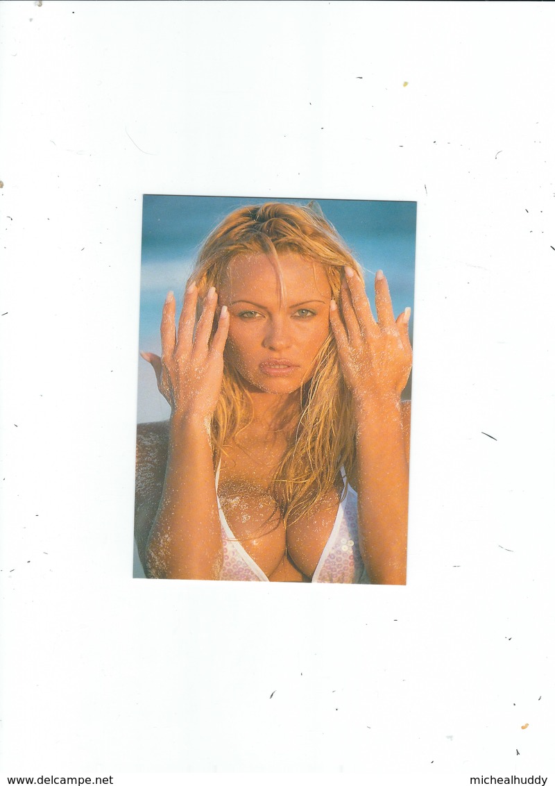 POSTCARD   OF PAMELA ANDERSON   PUBL LAST 20 YEARS - Entertainers