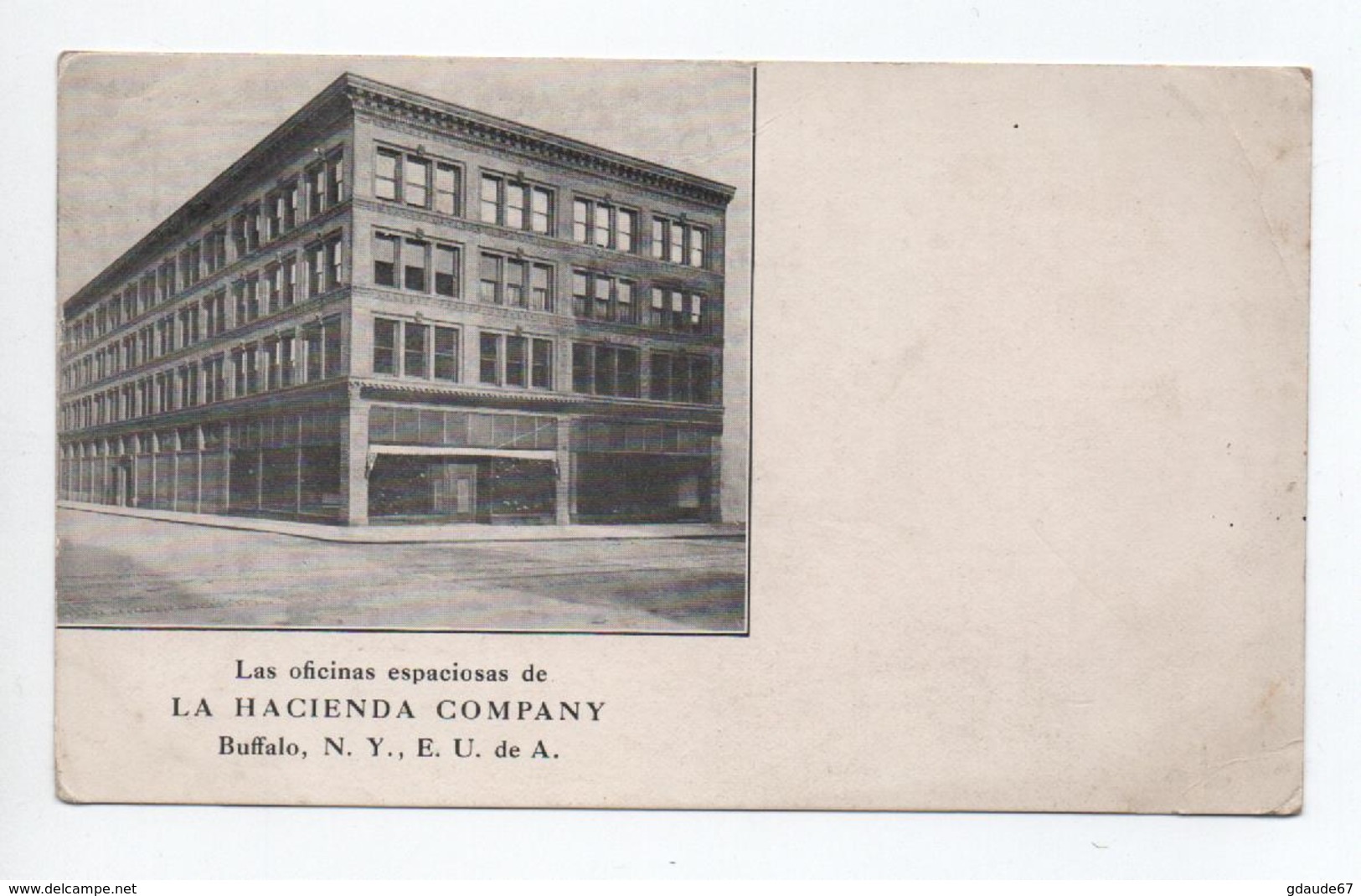 BUFFALO - LAS OFICINAS ESPACIOSAS DE LA HACIENDA COMPANY - Buffalo
