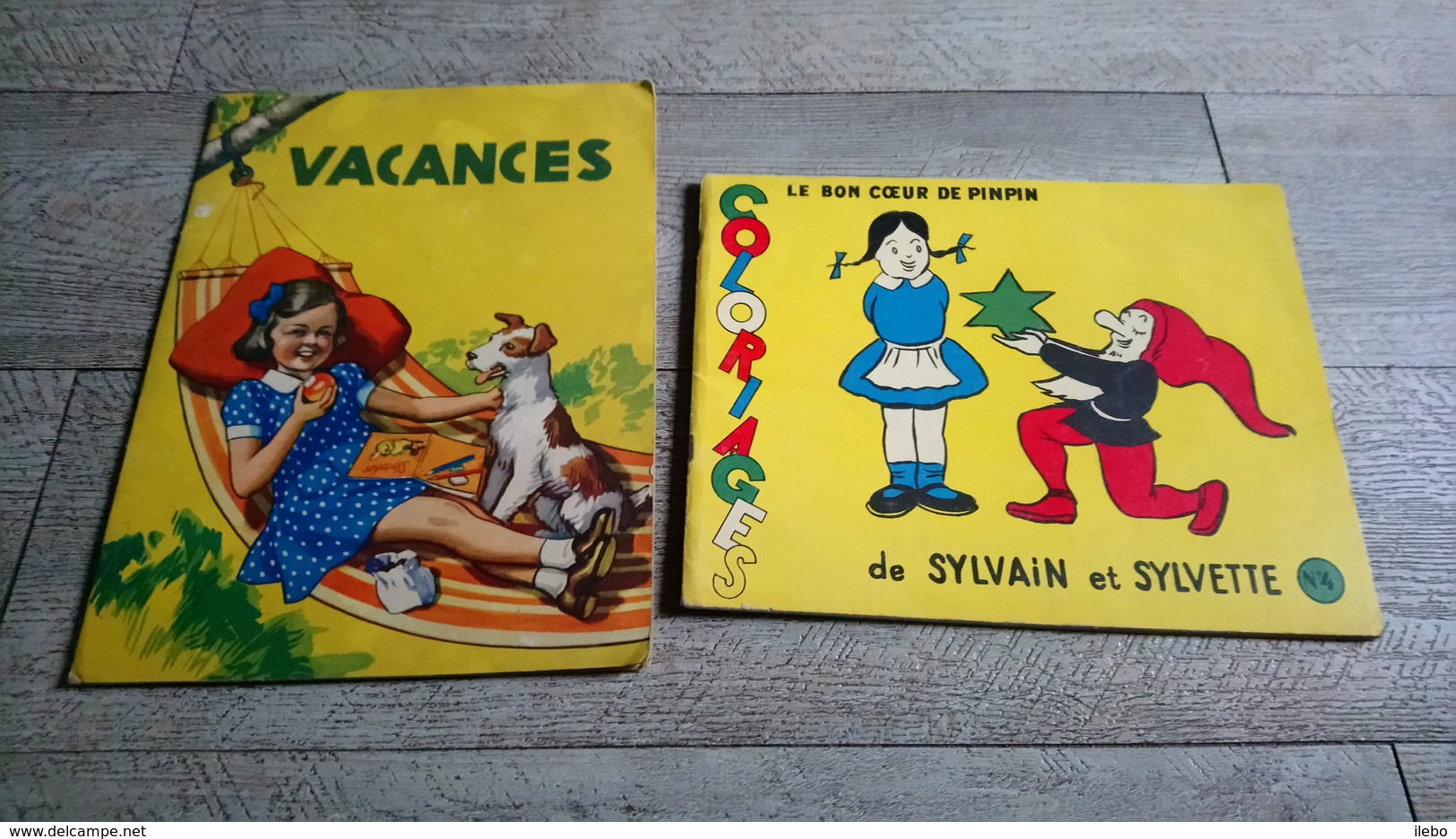 Lot 2 Livres Coloriage Ancien Le Bon Coeur De Pinpin De Sylvain Et Sylvette D'après Cuvillier Et Vacances - Sonstige & Ohne Zuordnung