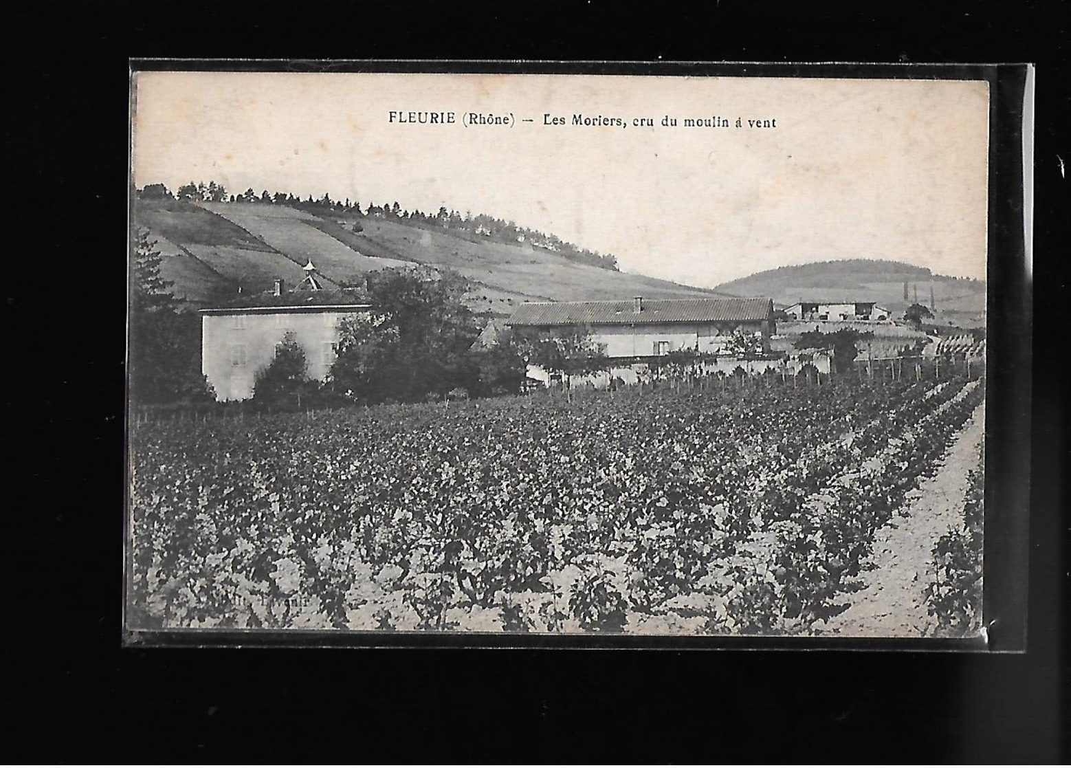 C.P.A. DU CRU DU MOULENT A VENT LES MORIERS A FLEURIE 69 - Autres & Non Classés