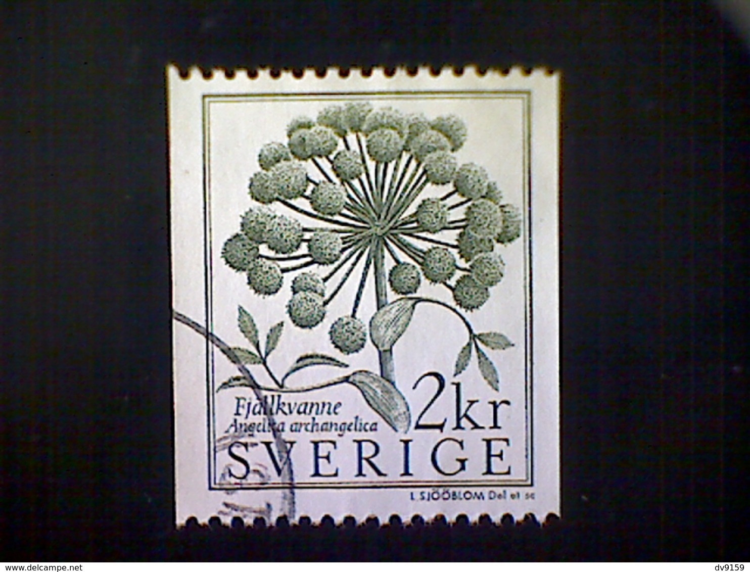 Sweden (Sverige), Scott #1490, Used (o), 1984, Conservation, Angelica Flower, 1.90k, Gray Green - Used Stamps