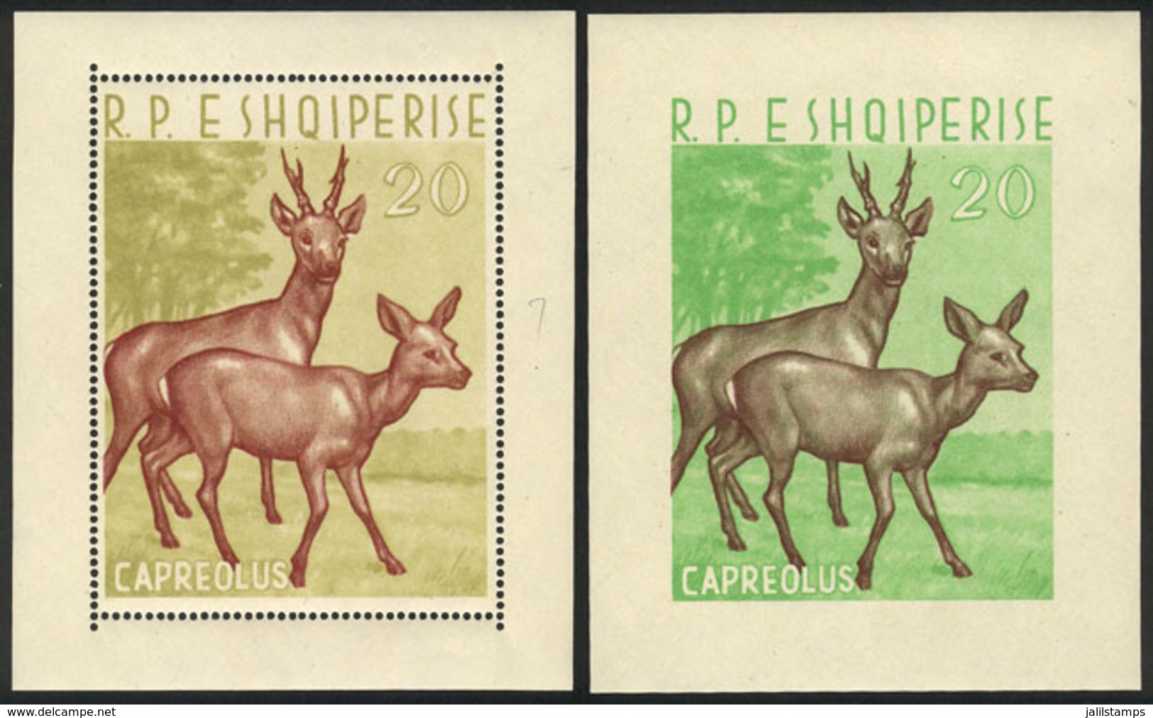 ALBANIA: Sc.643, 1962 20l. Deer, Perforated And Imperforate Sheets, MNH, Excellent Quality, Catalog Value US$260 - Albanie