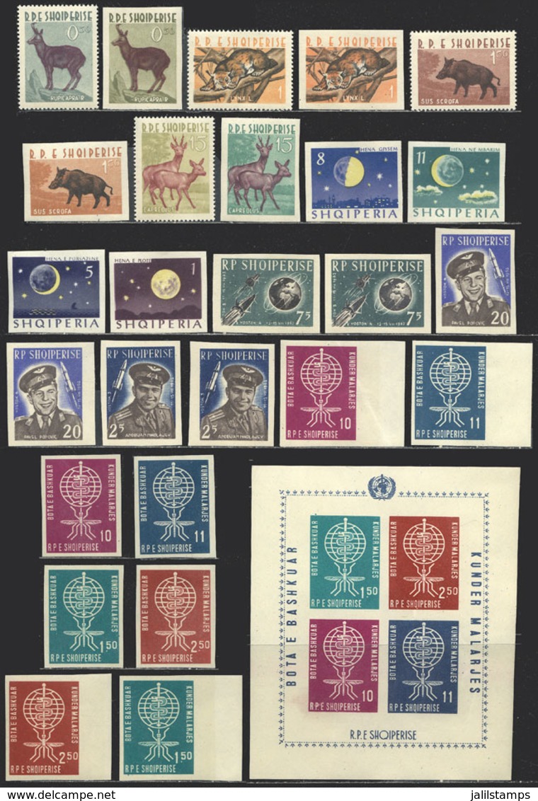 ALBANIA: Lot Of Sets And Souvenir Sheets, VERY THEMATIC, Many Imperforate, Very Fine Quality, Catalog Value US$290. - Albanien