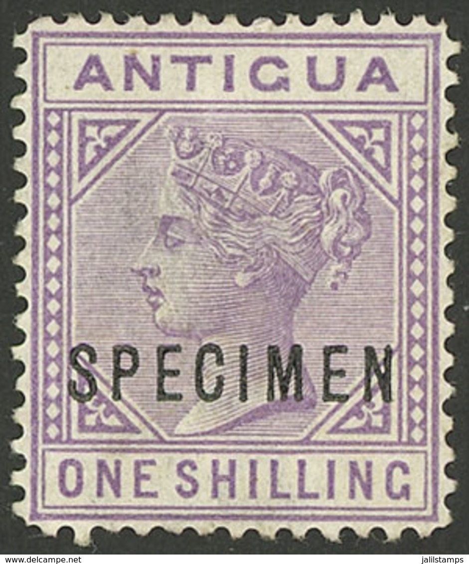 ANTIGUA: Sc.17, 1882/7 1S. Violet, With SPECIMEN Overprint, VF! - Otros & Sin Clasificación