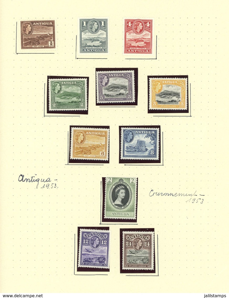 ANTIGUA: Collection On Pages With A Good Number Of VERY THEMATIC Stamps, Sets And Souvenir Sheets, Includin - Sonstige & Ohne Zuordnung