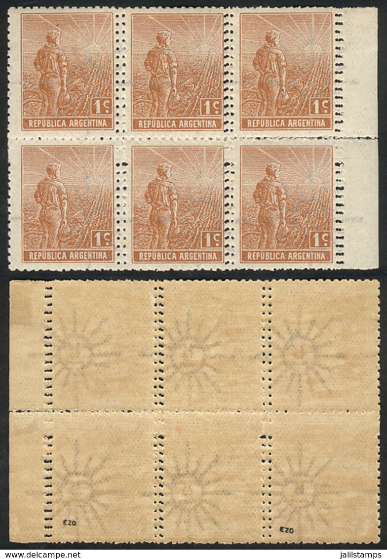 ARGENTINA: GJ.329, Block Of 6 Stamps With Variety: DOUBLE VERTICAL PERFORATION, Excellent And Spectacular! - Autres & Non Classés