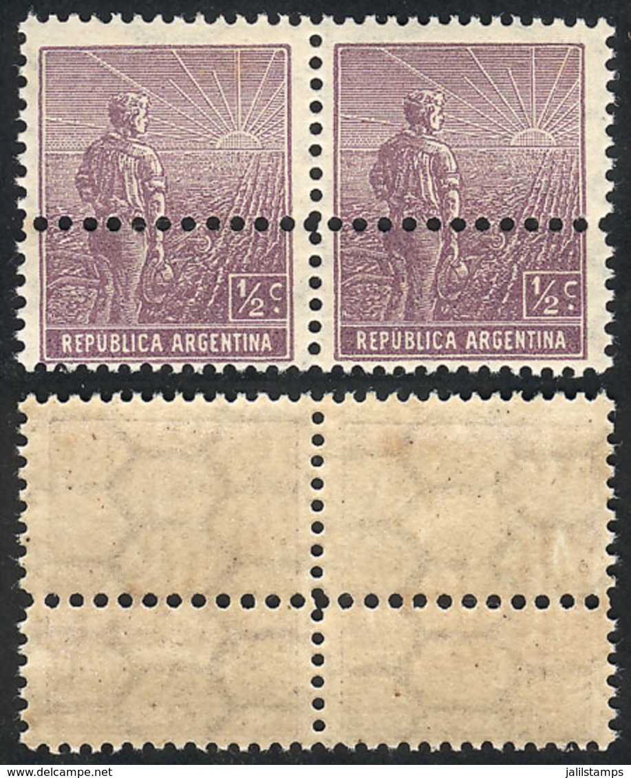 ARGENTINA: GJ.383, Pair With VARIETY: Double Horizontal Perforation, One Across The Middel Of The Stamps, VF! - Autres & Non Classés