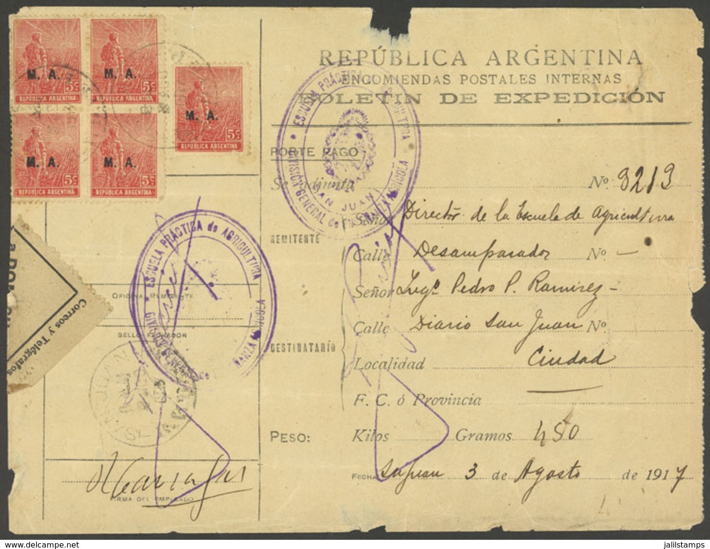 ARGENTINA: Rare Dispatch Note For An OFFICIAL Parcel Post Posted In San Juan On 3/AU/1917 Franked With 25c. (Ministry Of - Dienstzegels