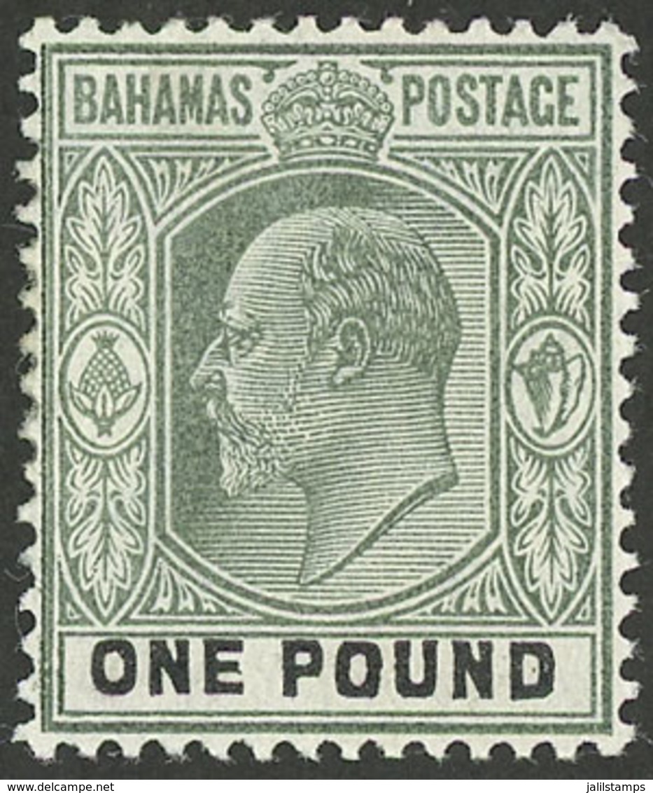 BAHAMAS: Sc.43, 1902 Edward VII 1£ Mint Lightly Hinged, VF Quality! - Altri & Non Classificati