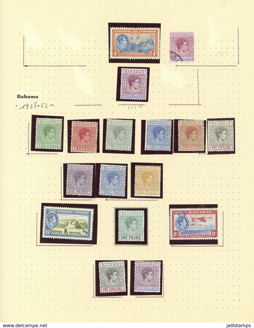 BAHAMAS: Collection On Pages With A Good Number Of VERY THEMATIC Stamps, Sets And Souvenir Sheets, Includin - Autres & Non Classés