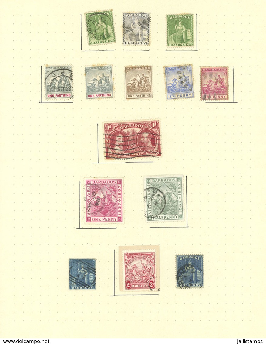 BARBADOS: Collection On Pages With A Good Number Of VERY THEMATIC Stamps, Sets And Souvenir Sheets, Includin - Barbades (...-1966)