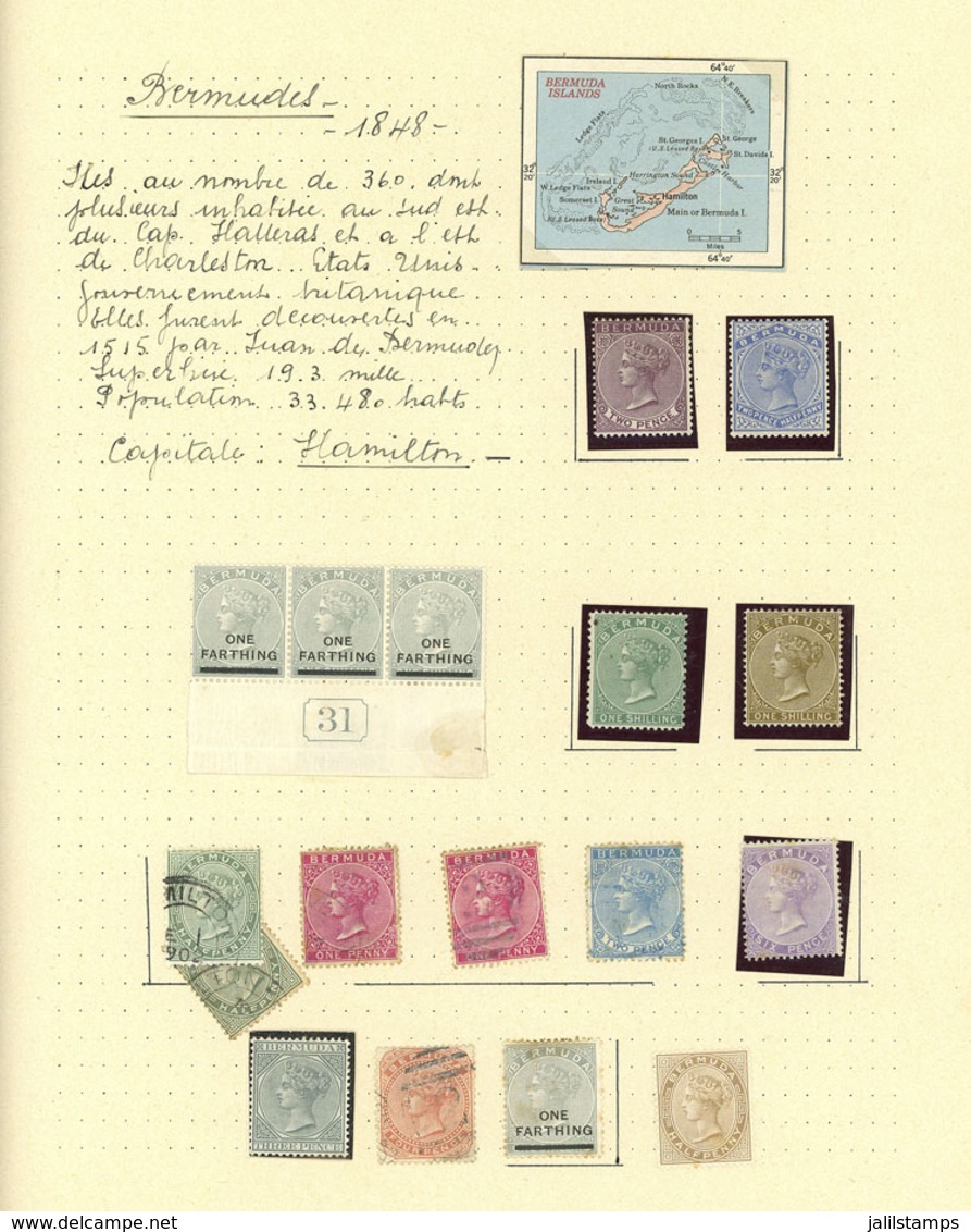 BERMUDA: Collection On Pages With A Good Number Of VERY THEMATIC Stamps, Sets And Souvenir Sheets, Includin - Bermuda