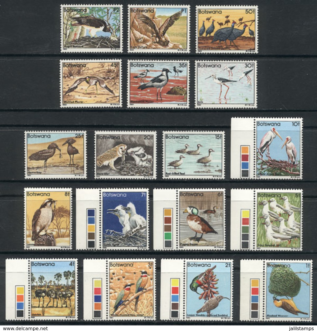 BOTSWANA: Sc.303/320, 1982 Birds, Complete Set Of 18 Unmounted Values, Excellent Quality, Catalog Value US$81+ - Botswana (1966-...)