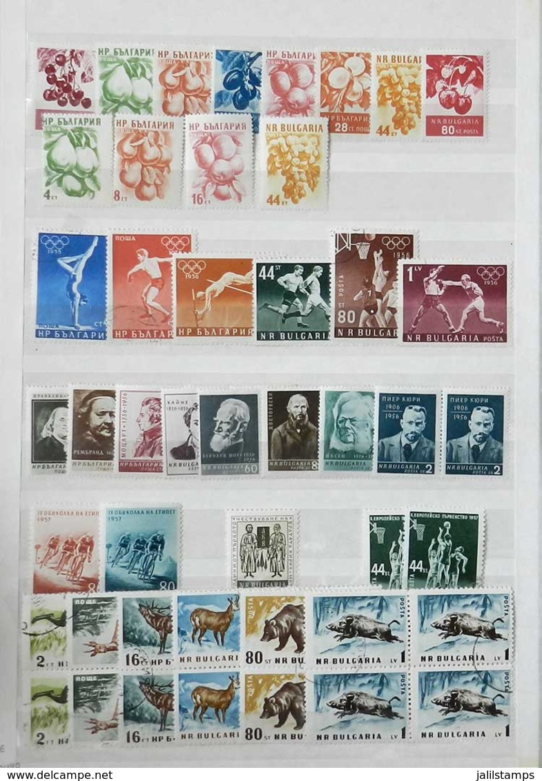 BULGARIA: Stockbook With Accumulation Of Used And Mint (of These, Most Never Hinged) Stamps And Sets, VF Gen - Autres & Non Classés