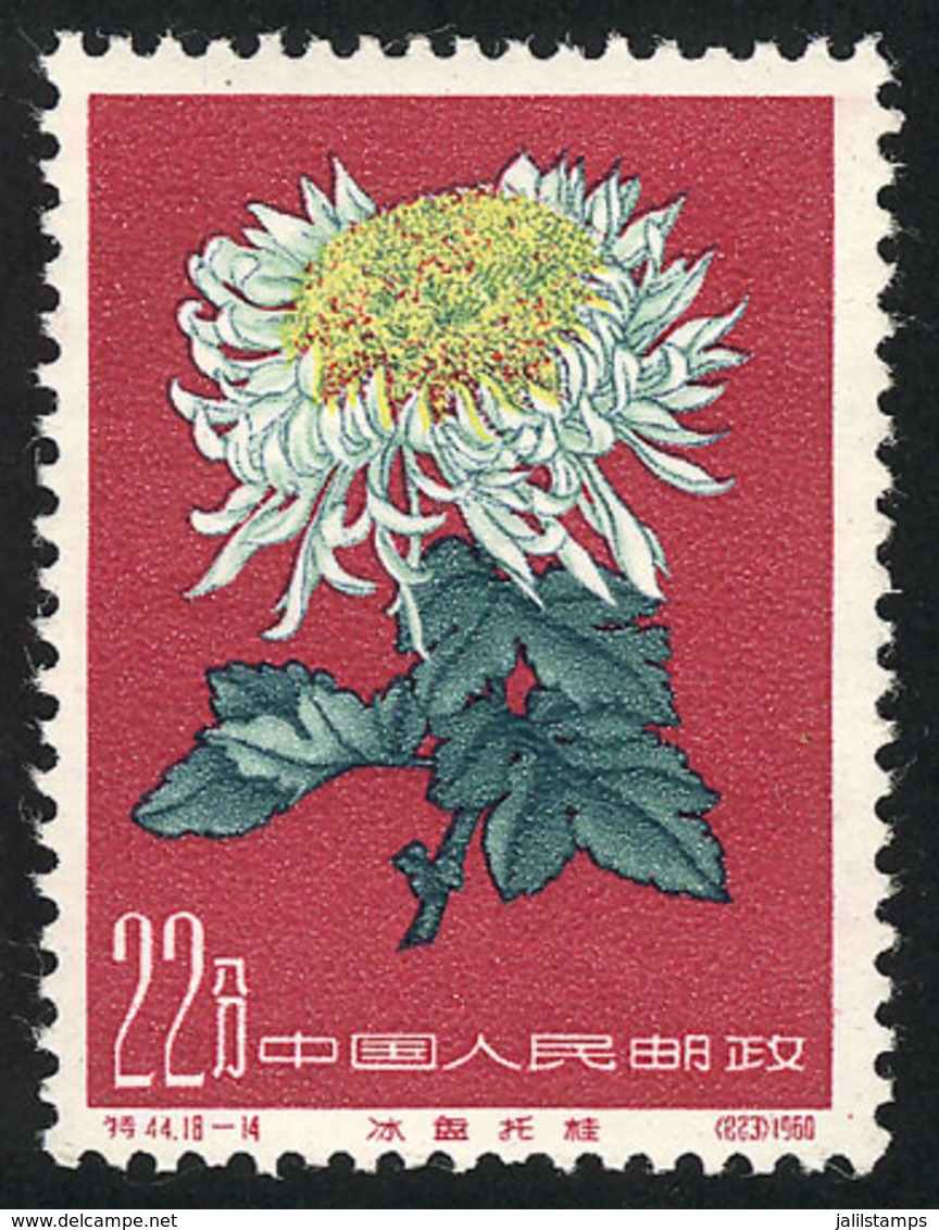 CHINA: Sc.555, 1980 Chrysanthemum 22f., Unmounted, Excellent Quality, Catalog Value US$150. - Autres & Non Classés