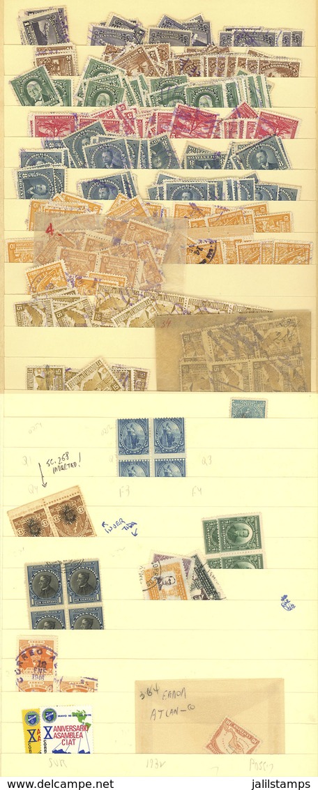 EL SALVADOR: Large Number Of Stamps Mounted On Stock Pages, Most Used (perfect Lot To Look For Scarce Cancels!) - El Salvador