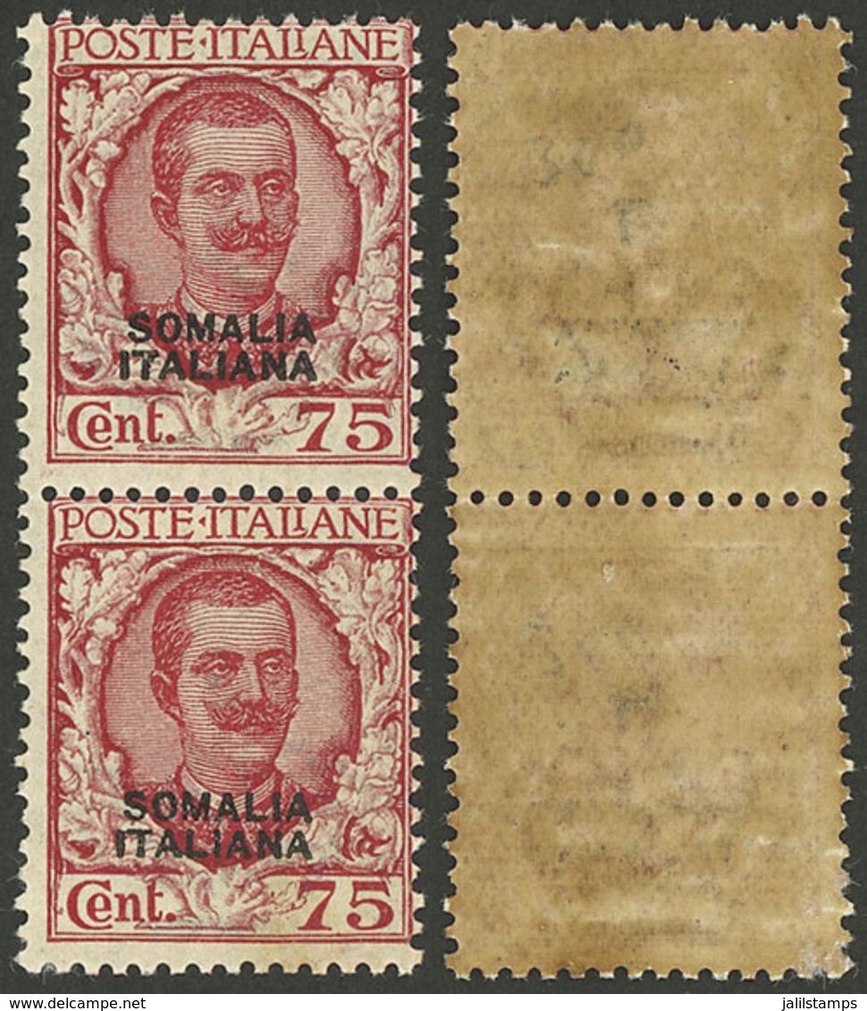 ITALIAN SOMALILAND: Sc.90, 1926/30 75c., MNH Pair, The Top Stamp Of Very Fine Quality, And The Bottom One With Tiny Defe - Somalie