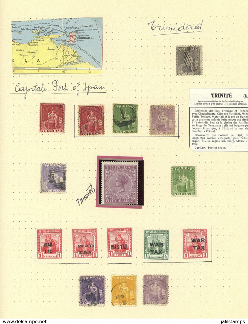 TRINIDAD AND TOBAGO: Collection In Album Pages, With Old And Modern Stamps, Used Or Mint (in The Early Part, Lightly Hi - Trindad & Tobago (...-1961)