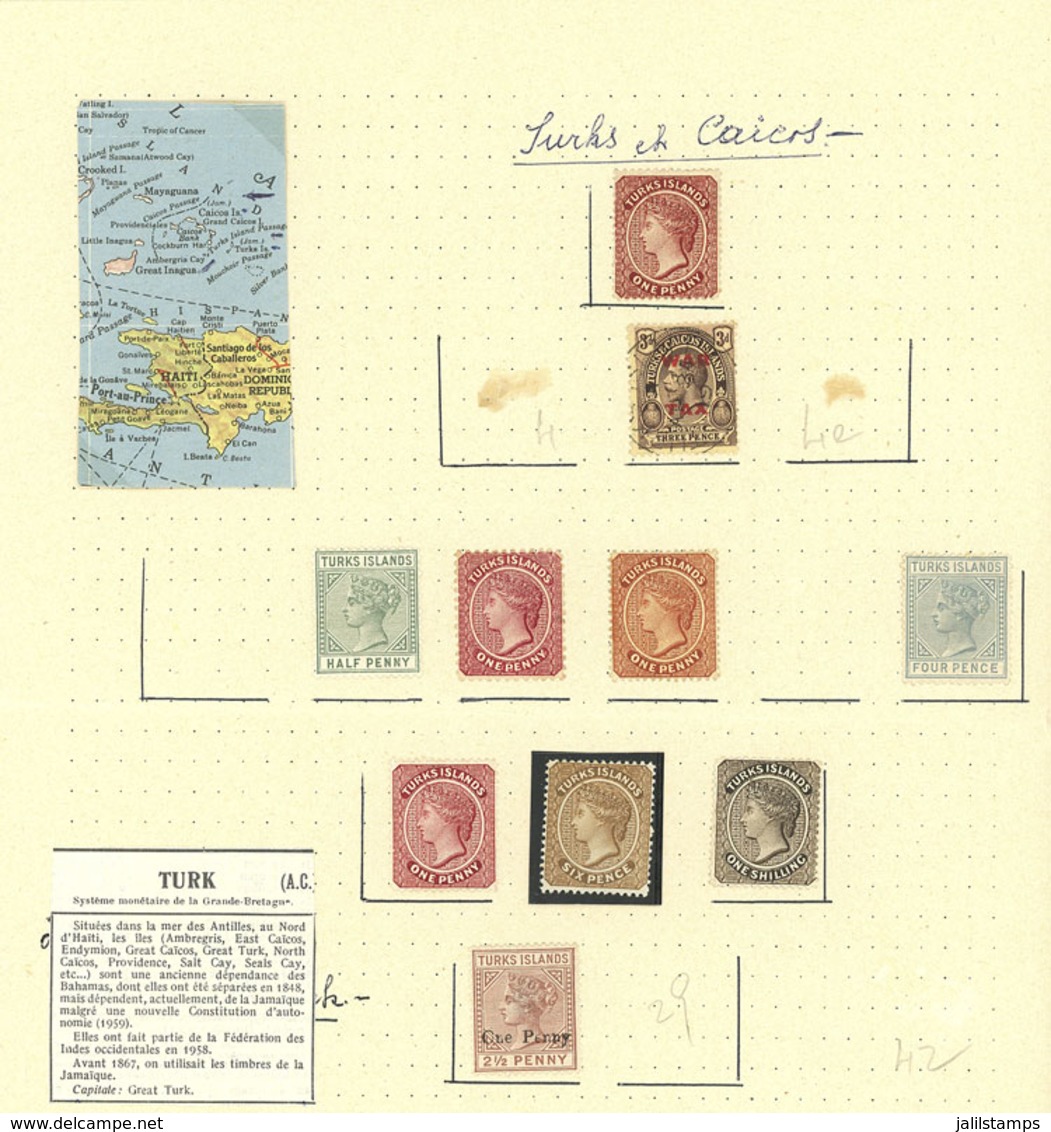 TURKS & CAICOS: 4 Album Pages With Varied Stamps, Fine To Very Fine General Quality, Low Start! - Turks E Caicos