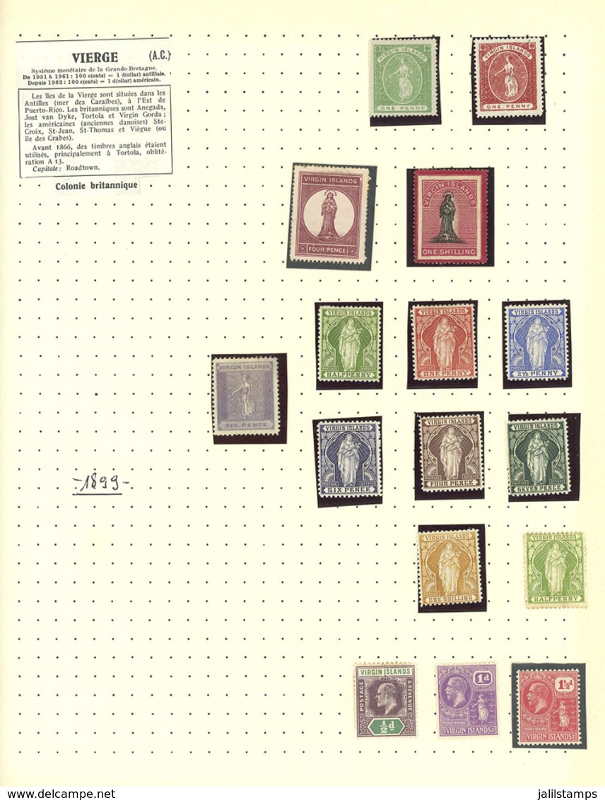 VIRGIN ISLANDS: Collection On Pages With A Good Number Of VERY THEMATIC Stamps, Sets And Souvenir Sheets, Includin - Iles Vièrges Britanniques