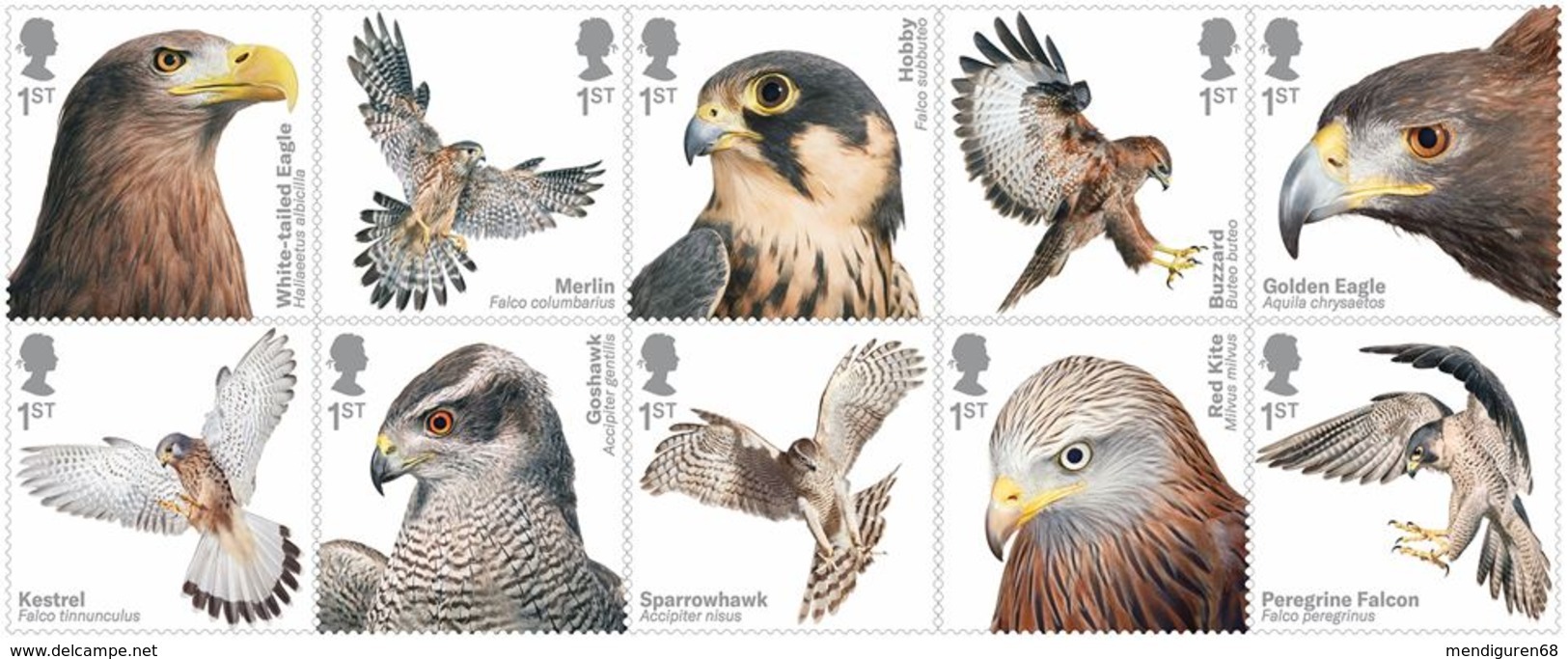 GROSSBRITANNIEN GRANDE BRETAGNE GB 2019 BIRDS OF PREY SET OF 10V. MNH SG 4190-99 MI 4286-95 YT 4764-73 - Unused Stamps