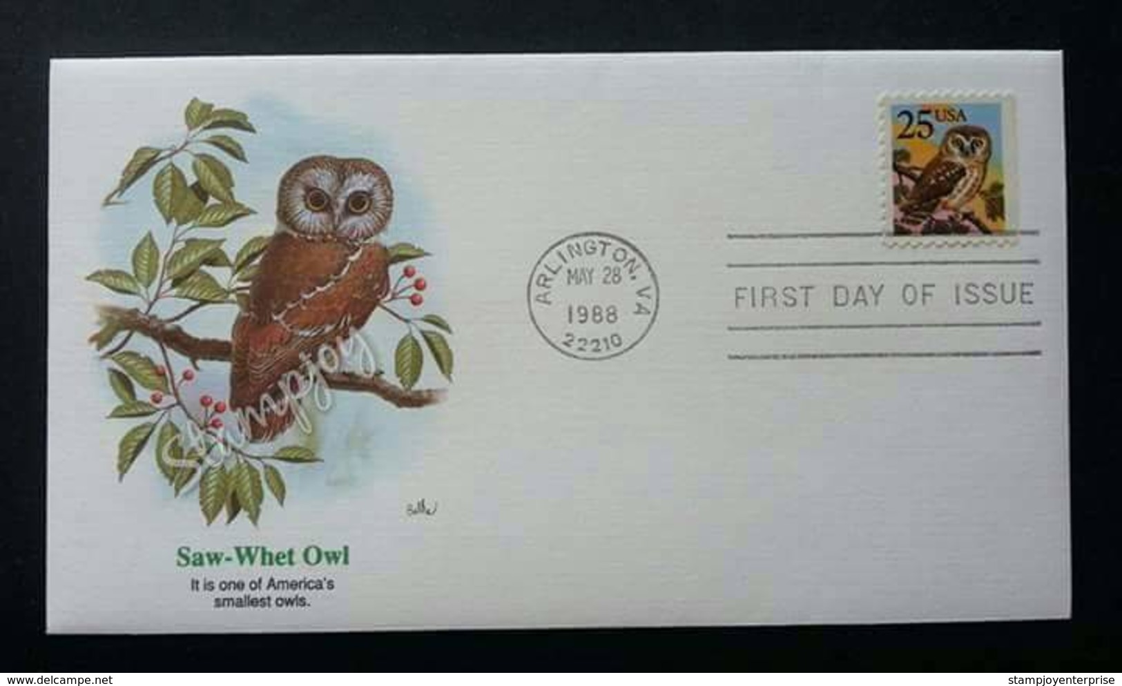 USA United States Saw-Whet Owl 1988 (Smallest Owls) 1988 Bird Birds (stamp FDC) - Storia Postale
