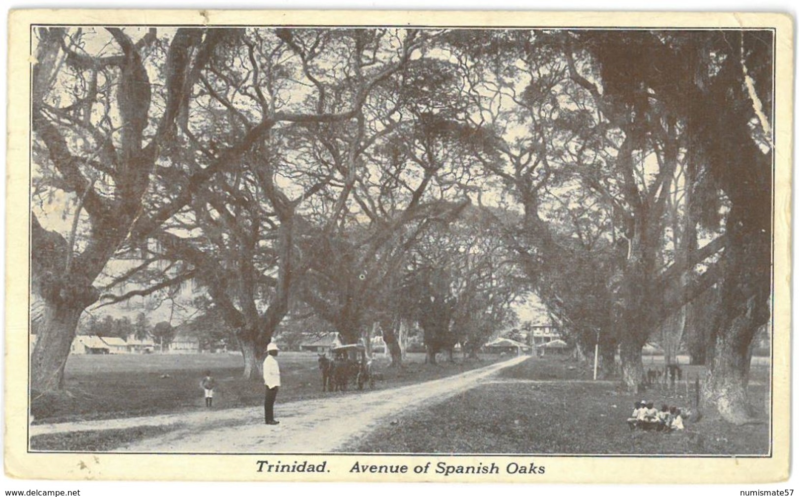 CPA TRINIDAD - Avenue Of Spanish Oaks - Année 1927 - Trinidad