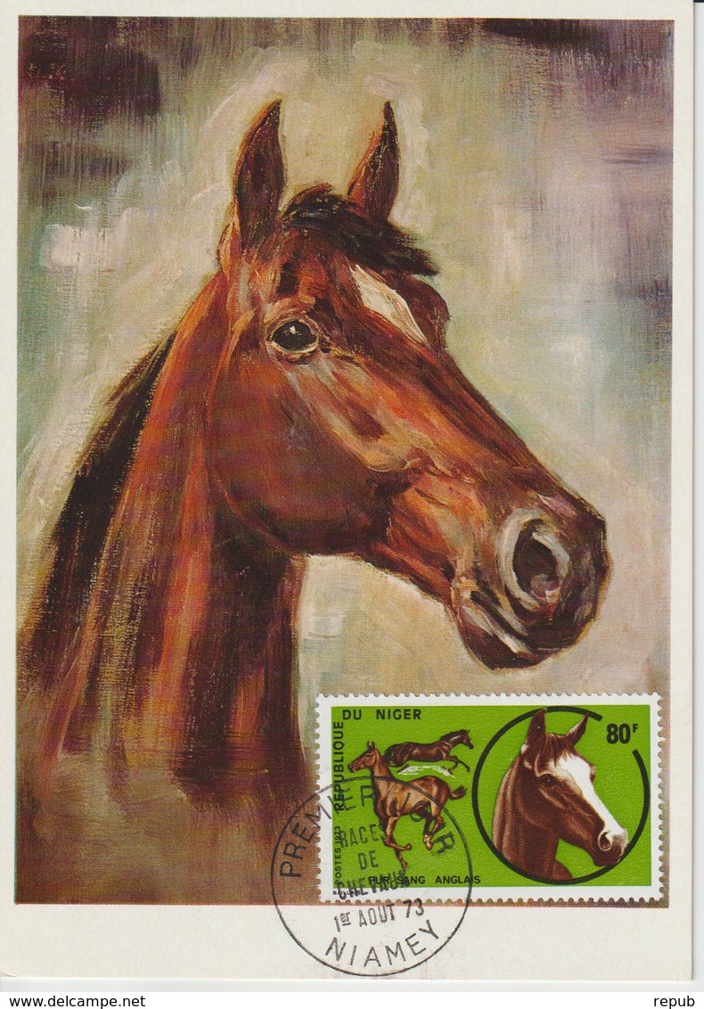 Niger Carte Maximum 1973 Chevaux 284 - Niger (1960-...)