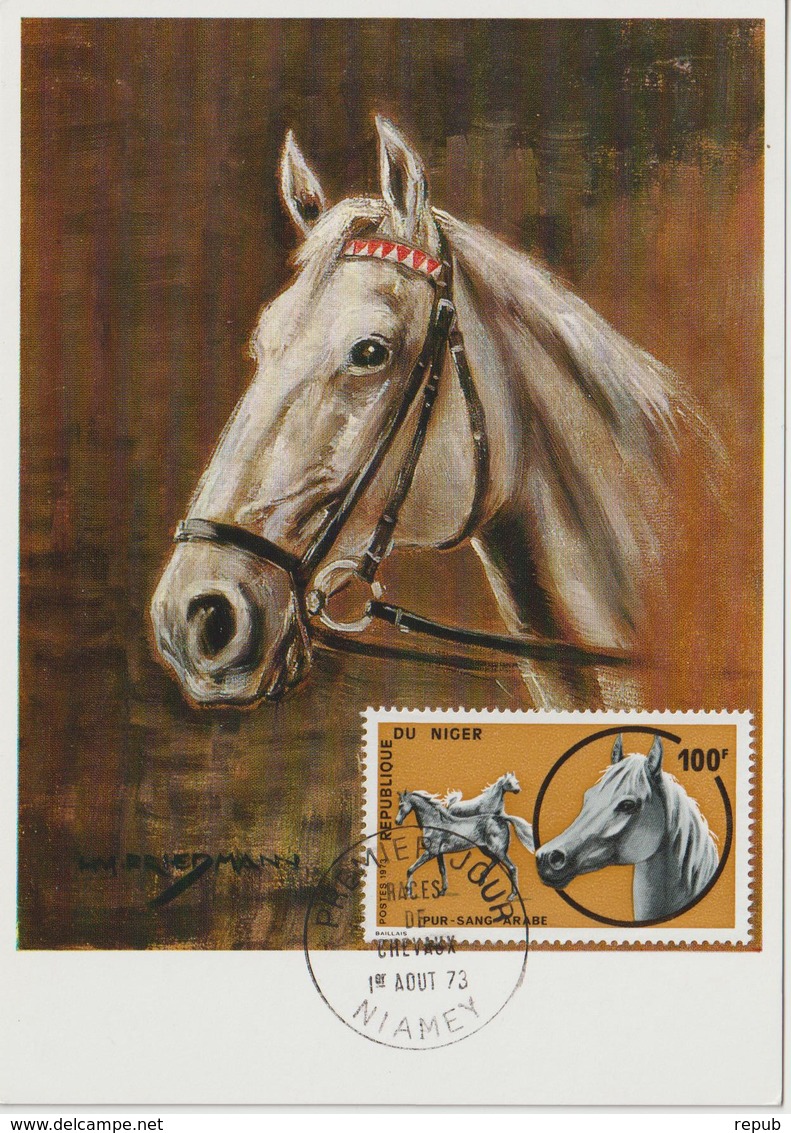 Niger Carte Maximum 1973 Chevaux 285 - Niger (1960-...)