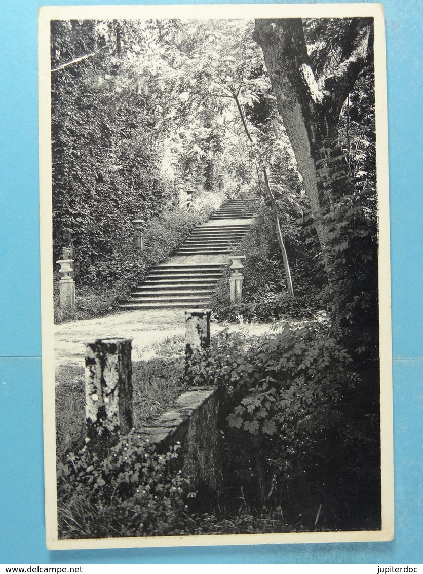 Florennes Le Château Escalier Des Charmilles - Florennes