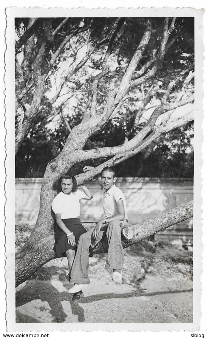 PHOTO - AVIGNON -  Jeune Couple Dans Les Branches -  Ft 11 X 7 Cm - Lieux