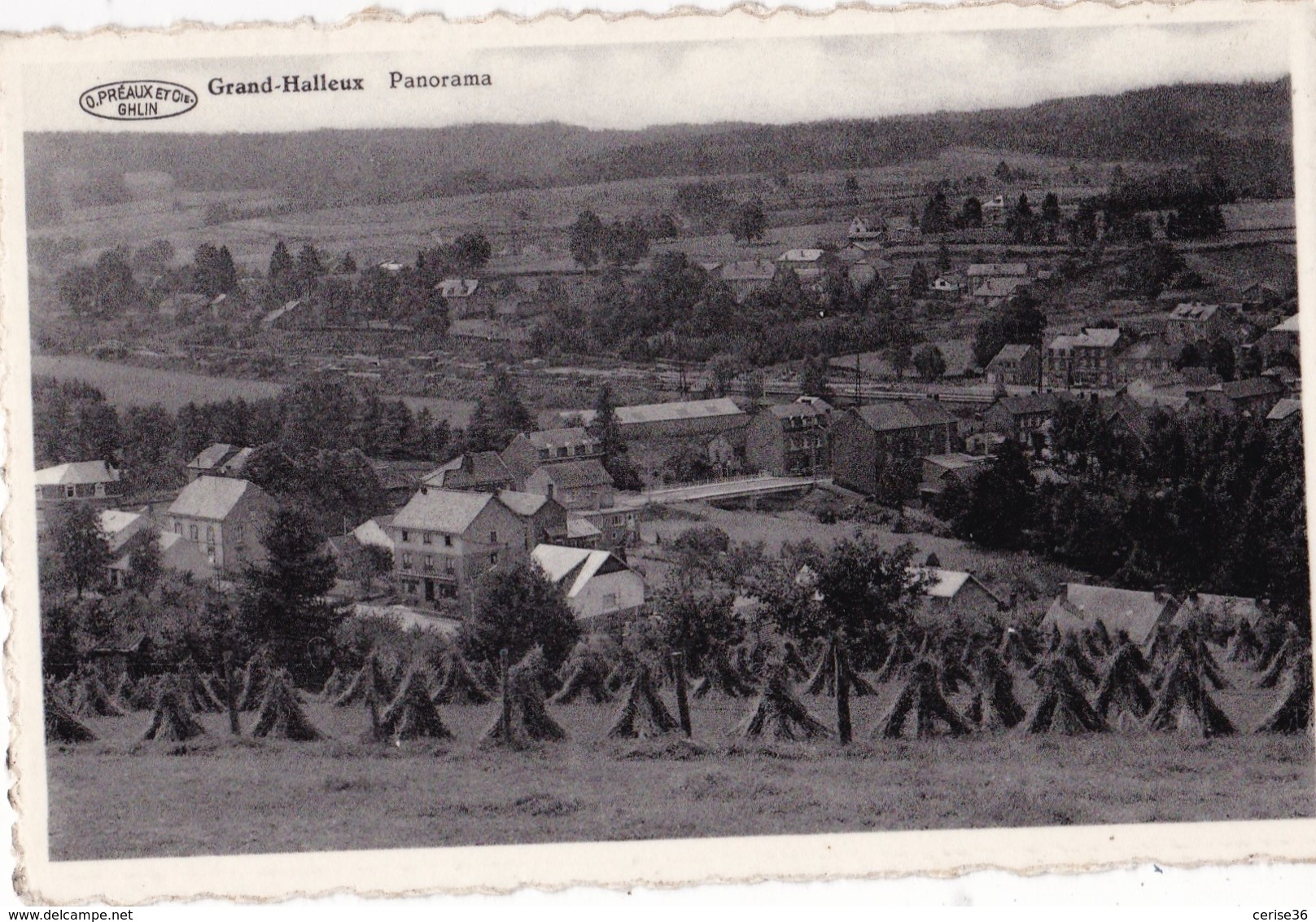 Grand-Halleux Panorama - Vielsalm