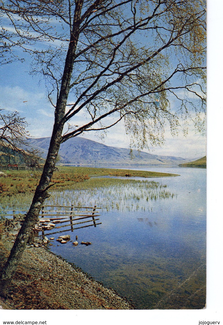 St Mary's Loch Selkirkshire ; Exp Of  Paysley (1957 - Selkirkshire