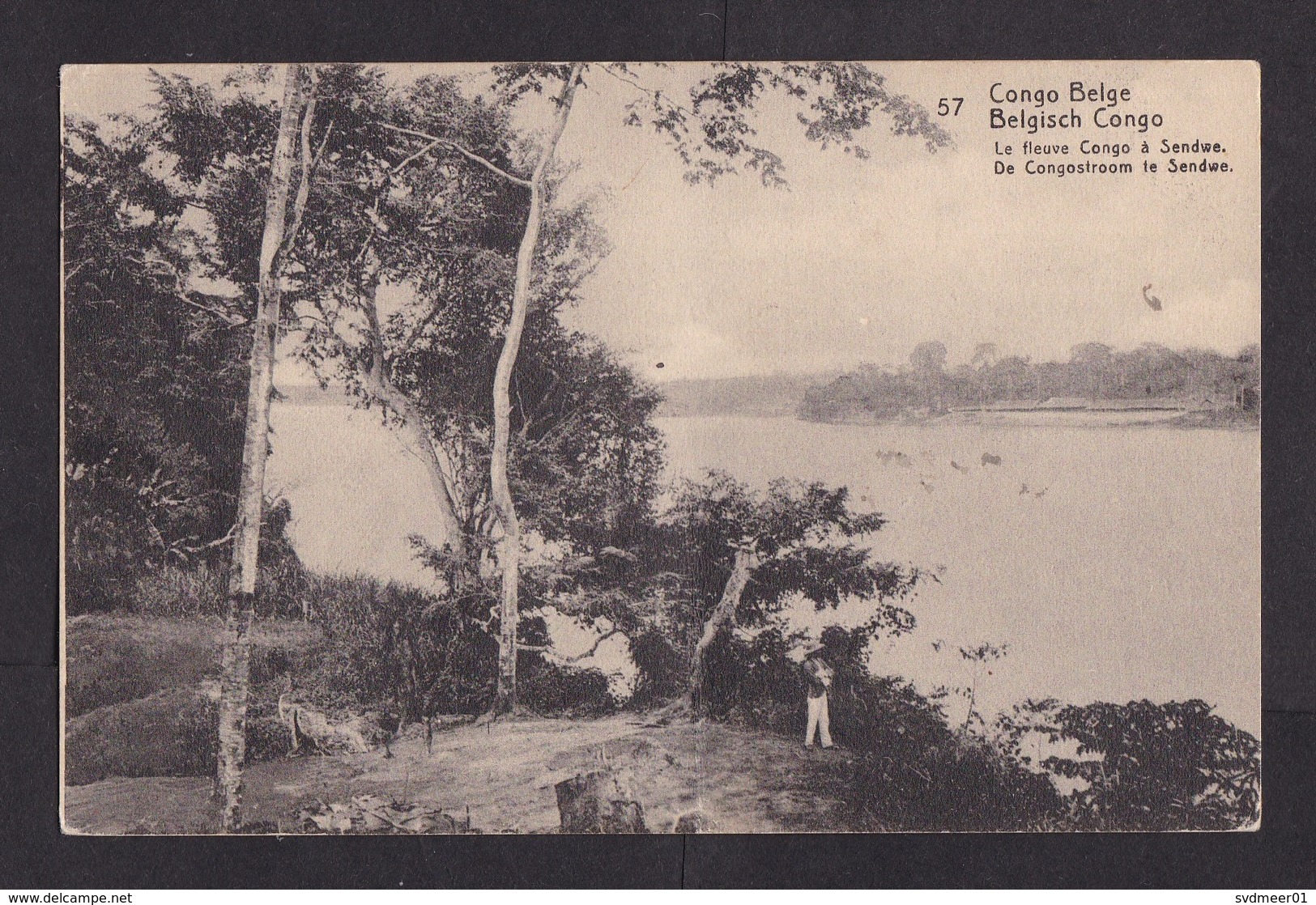 Belgian Congo: PPC Stationery Picture Postcard To UK, 1919, Forest, Card: River Sendwe (minor Crease) - Brieven En Documenten