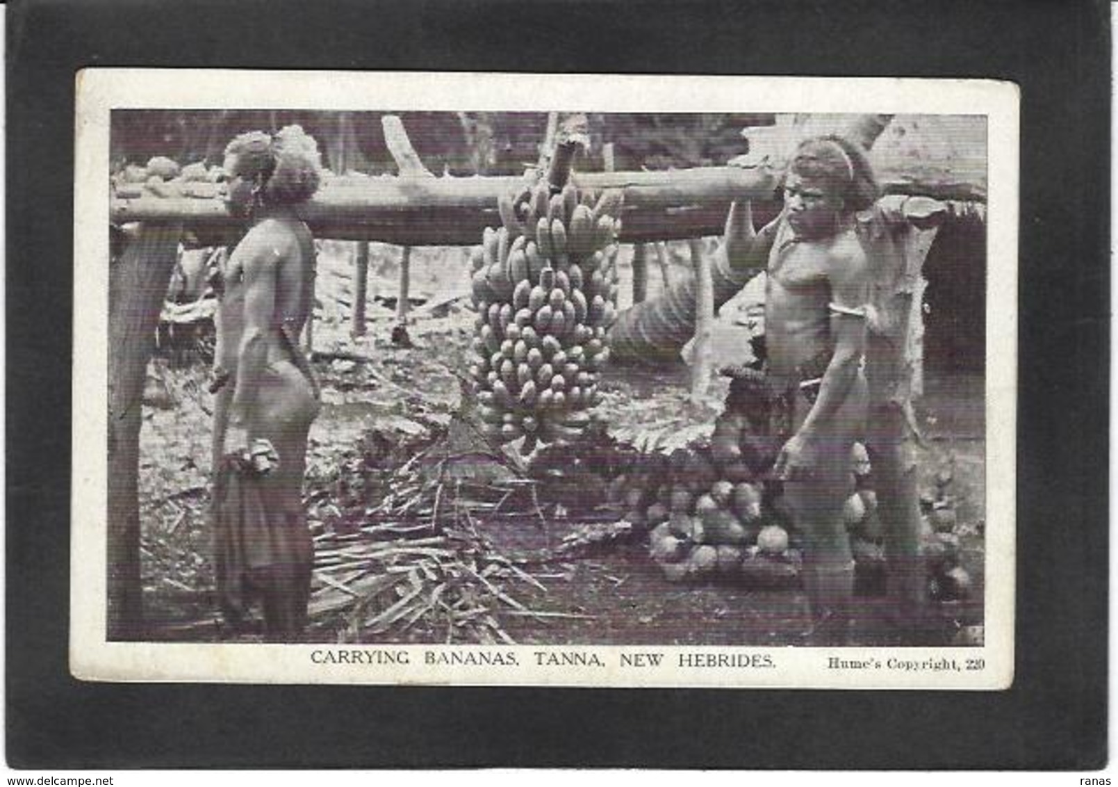 CPA Nouvelles Hébrides Non Circulé Type Ethnique Vanuatu - Vanuatu