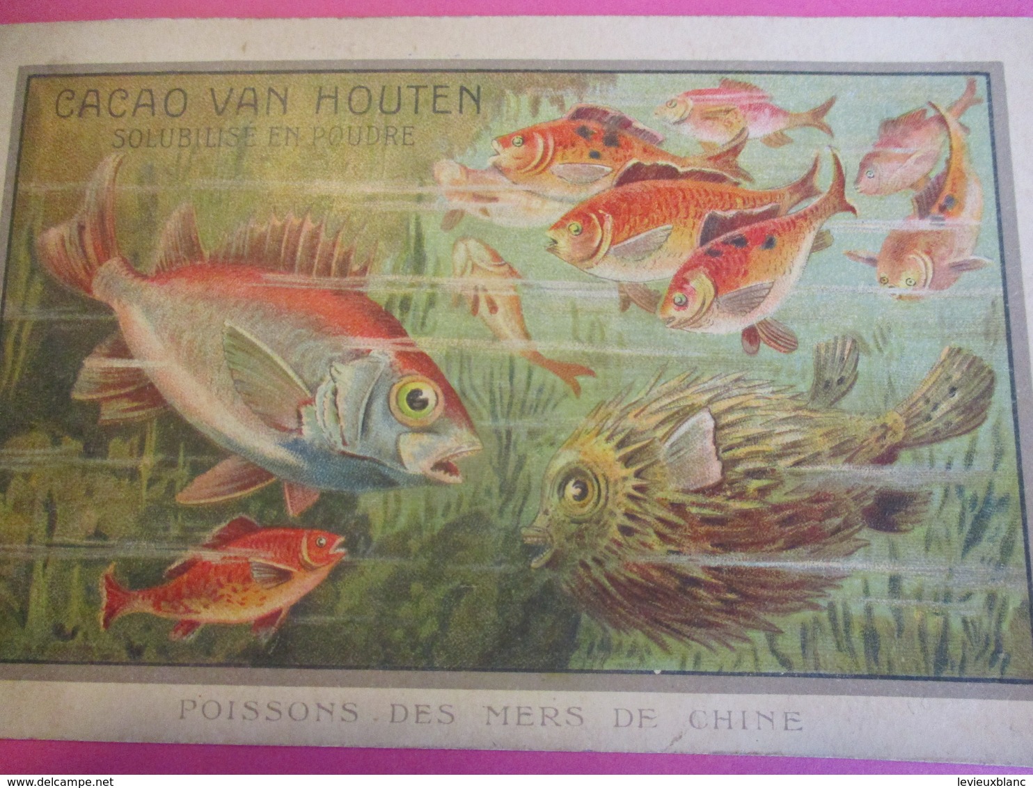 Image/ Cacao VAN HOUTEN/Solubilisé En Poudre/Poisson Des Mers De Chine/  Paris/Vers1900-10               IMA544 - Van Houten