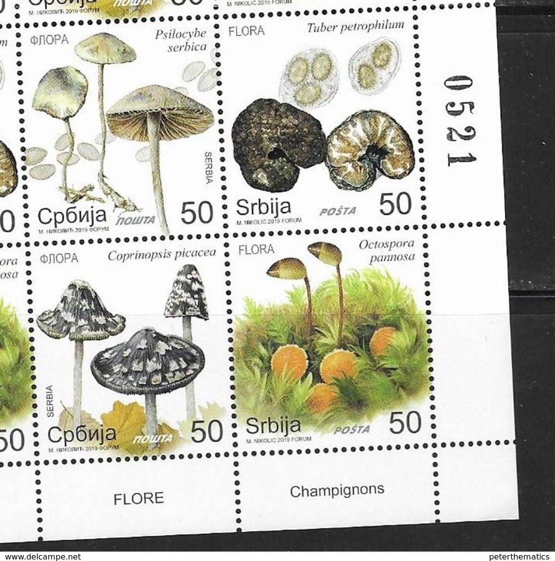 SERBIA, 2019, MNH, MUSHROOMS,4v - Paddestoelen