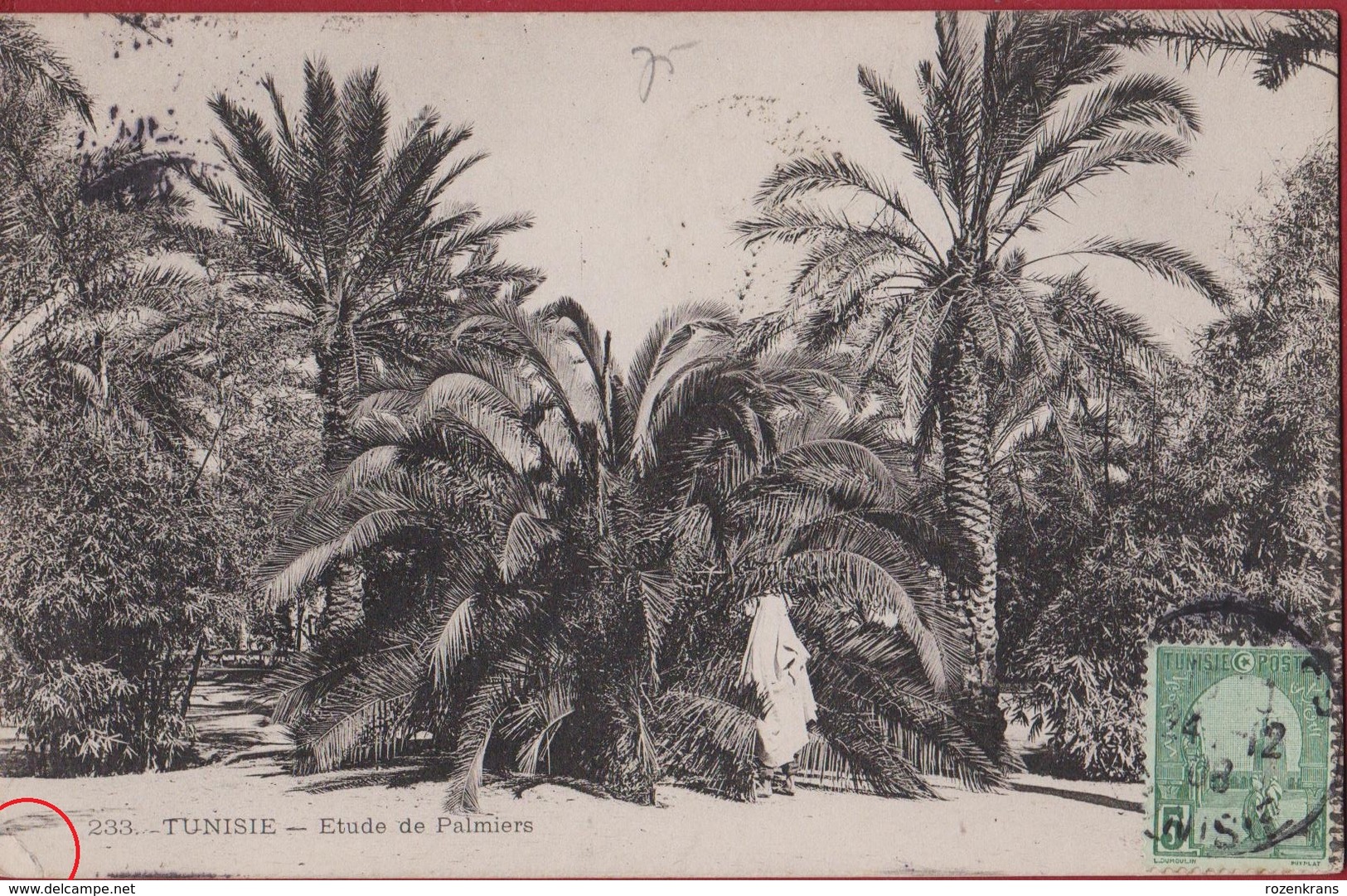 Tunesie Tunisie Tunisia Etude De Palmiers 1908 Native Animee Plantation Plantage - Tunisie