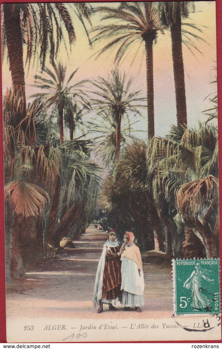 Algerie Algeria Alger Jardin D' Essai L' Allee Des Yuccas - Scènes & Types