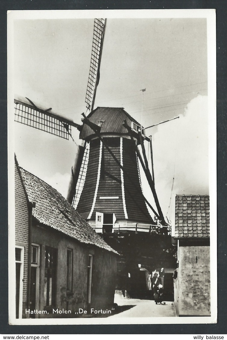 +++ CPA - Pays Bas - Holland - Gelderland - HATTEM - Molen " De Fortuin "4 - Moulin   // - Hattem