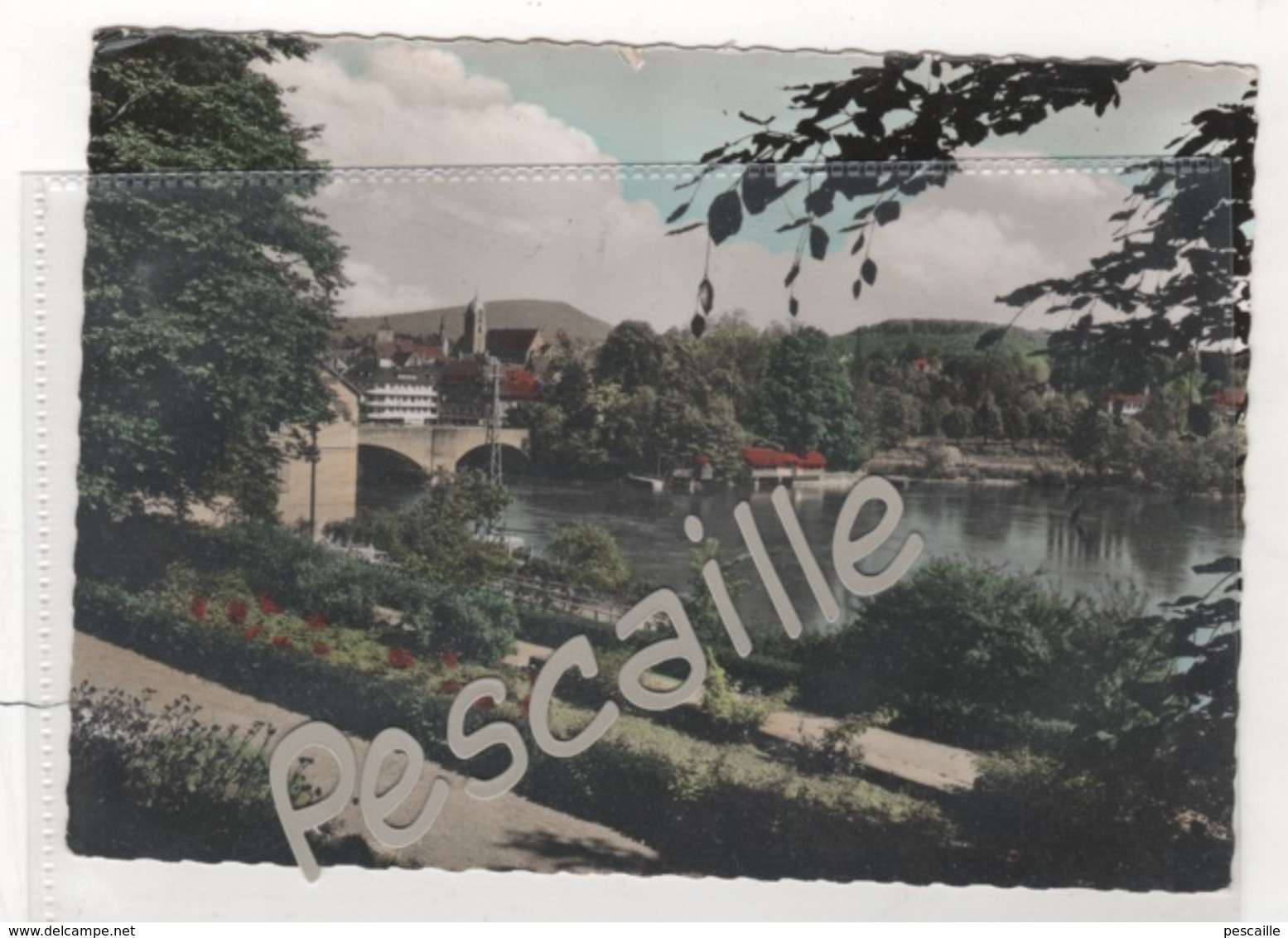 BADEN WURTEMBERG - CP COLORISEE RHEINFELDEN - STADTGARTEN MIT BLICK ZUM SCHWEIZER UFER - VERLAG A. MAUTHE Nr A 356 008 - - Rheinfelden