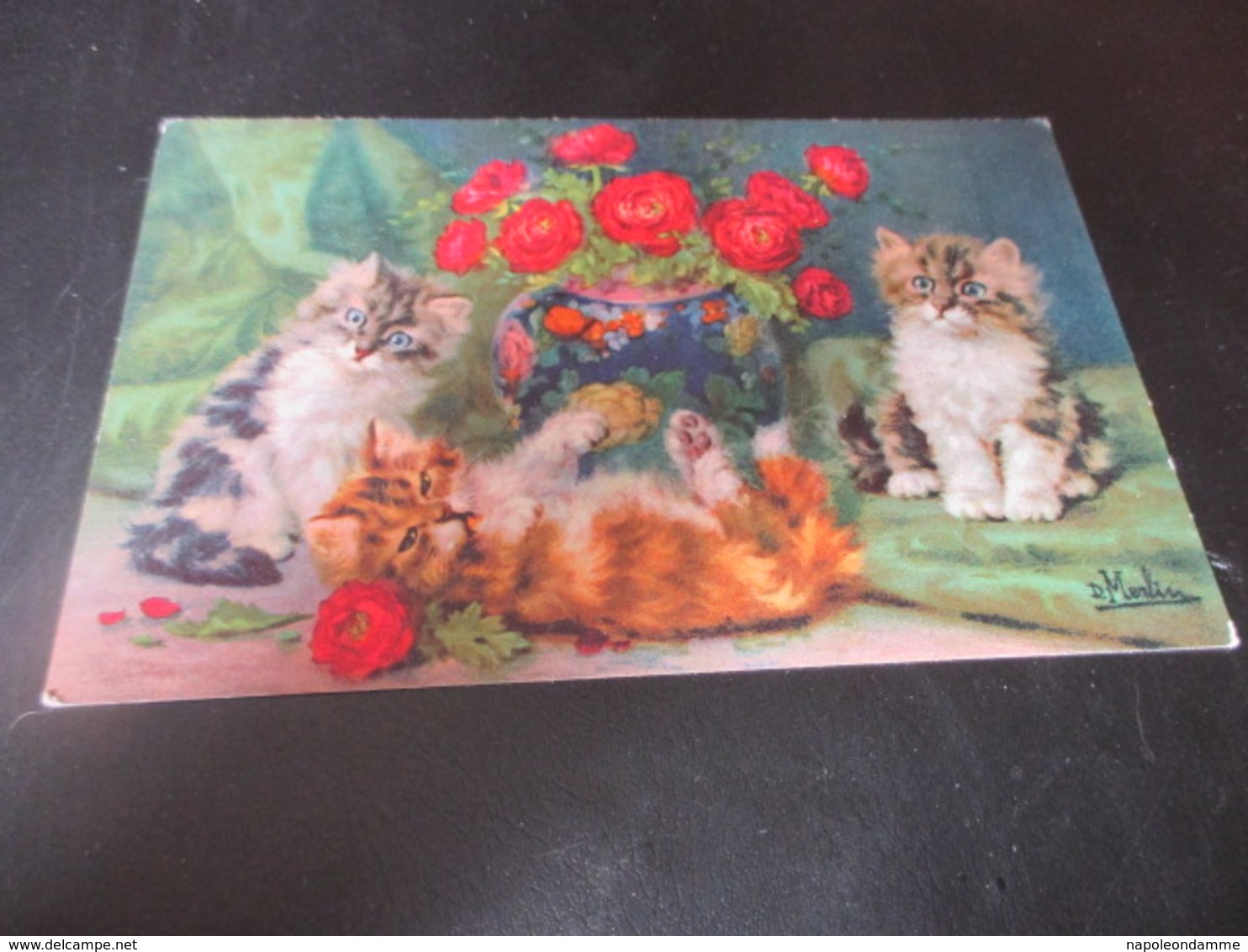 Fantasiekaart Katten - Chats