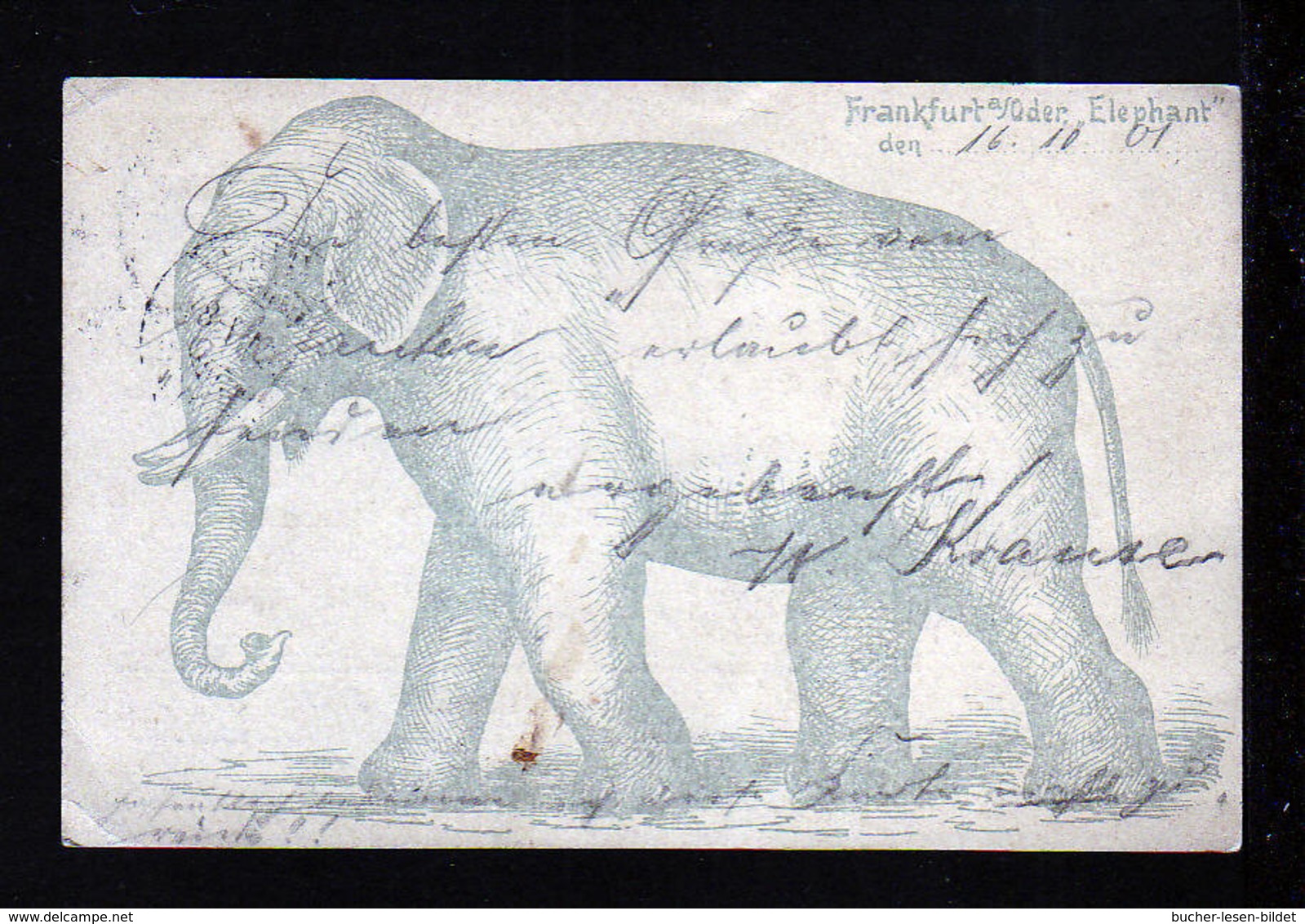 1901 - 5 Pf. Privat Ganzsache Frankfurt/O. - Bild "Elefant" - Gebraucht - Eléphants